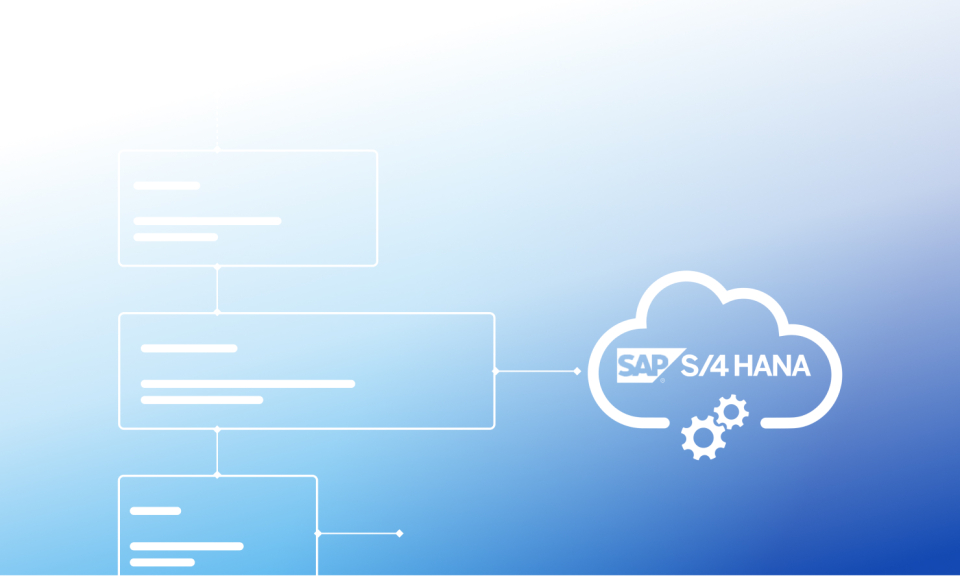 SAP S4HANA Testing on a Budget_Resource page