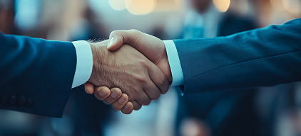 professional services 1